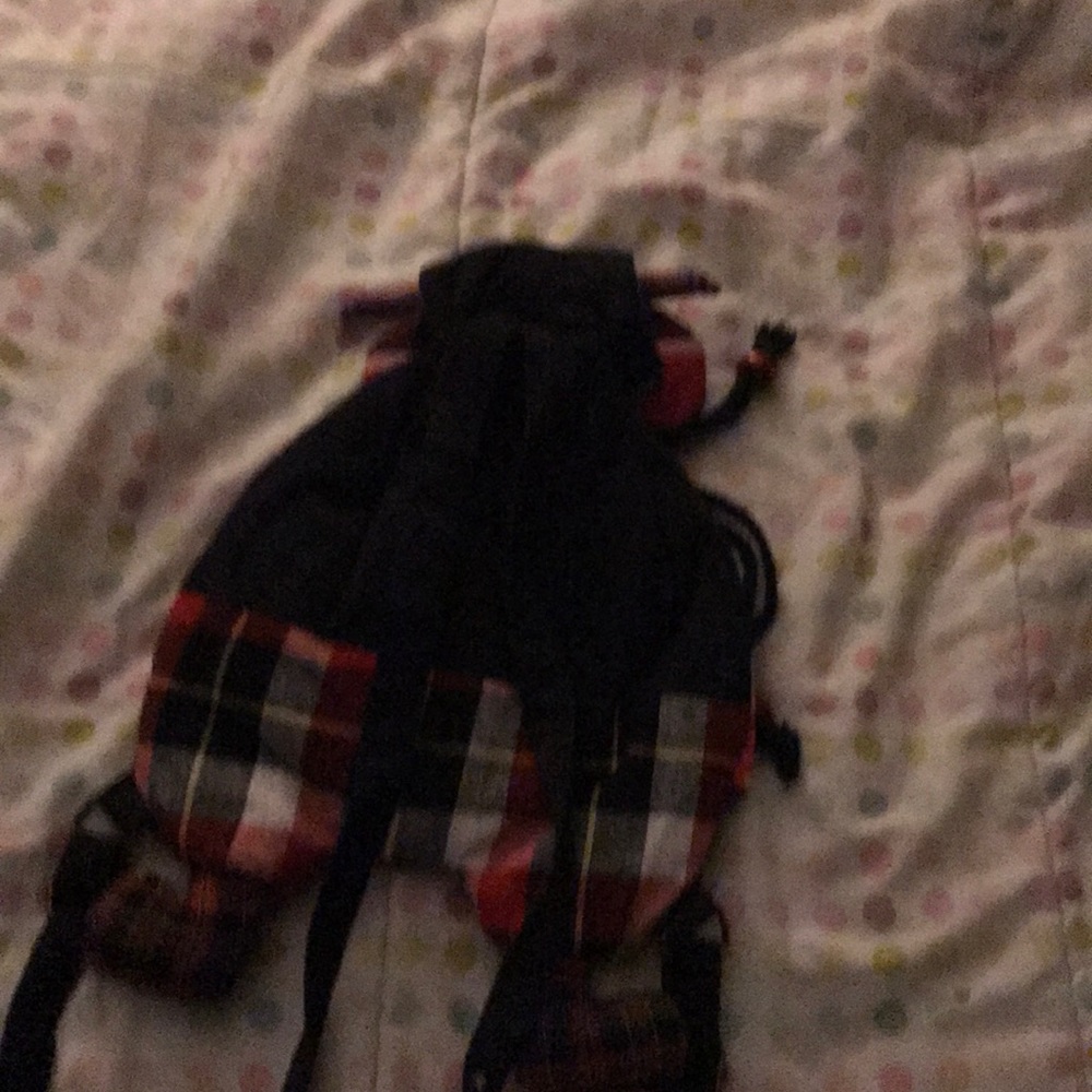 Backpack - Picture 2 of 4